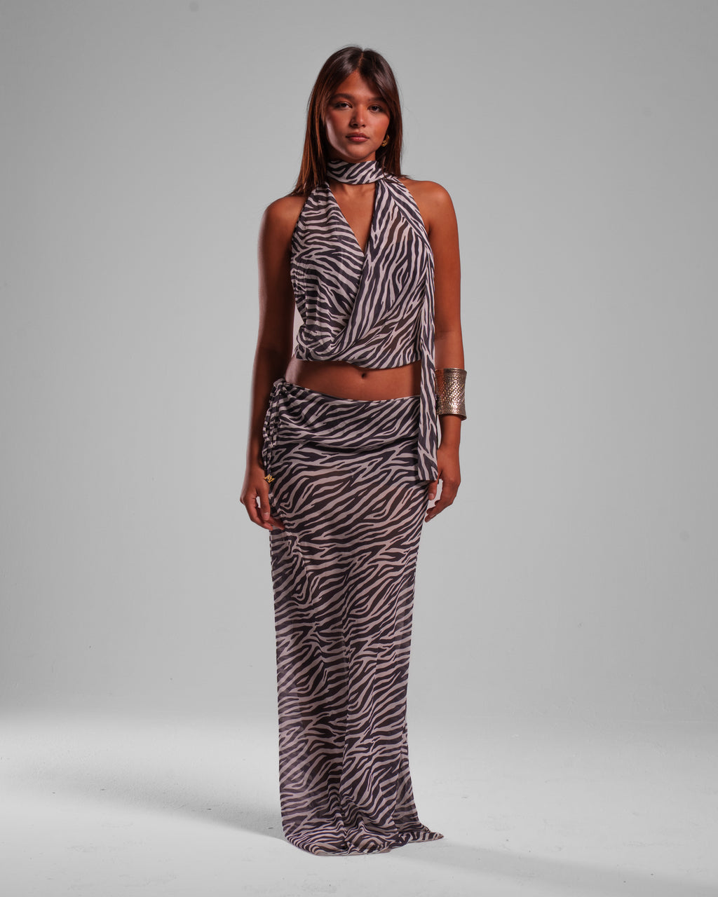 Zebra Set